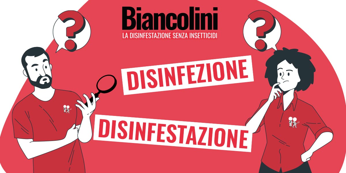 Differenza tra Disinfestazione e Disinfezione