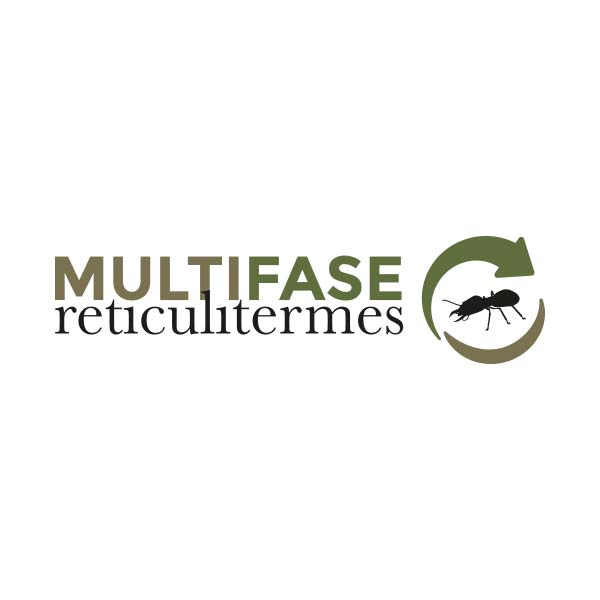 sistema-multifase-termiti-specialisti-disinfestazione